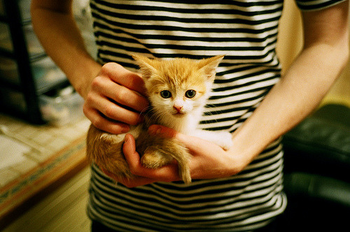 九游娱乐APP-_水上漂移：速度、技巧与浪花交织_，水上漂教程