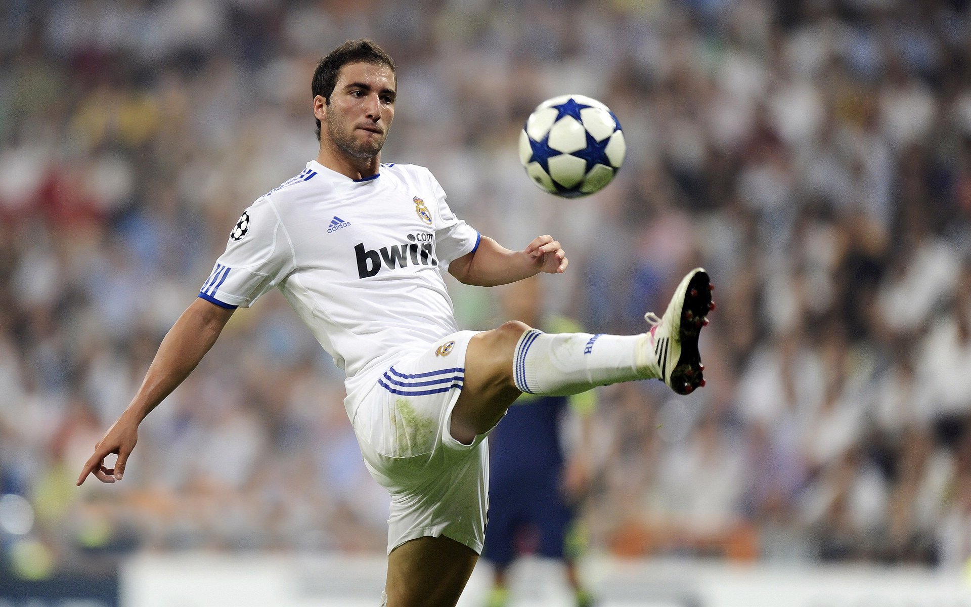 JIUYOU GAMING-_运动巡游节：沿途赏景、体验多样运动_，游览运动