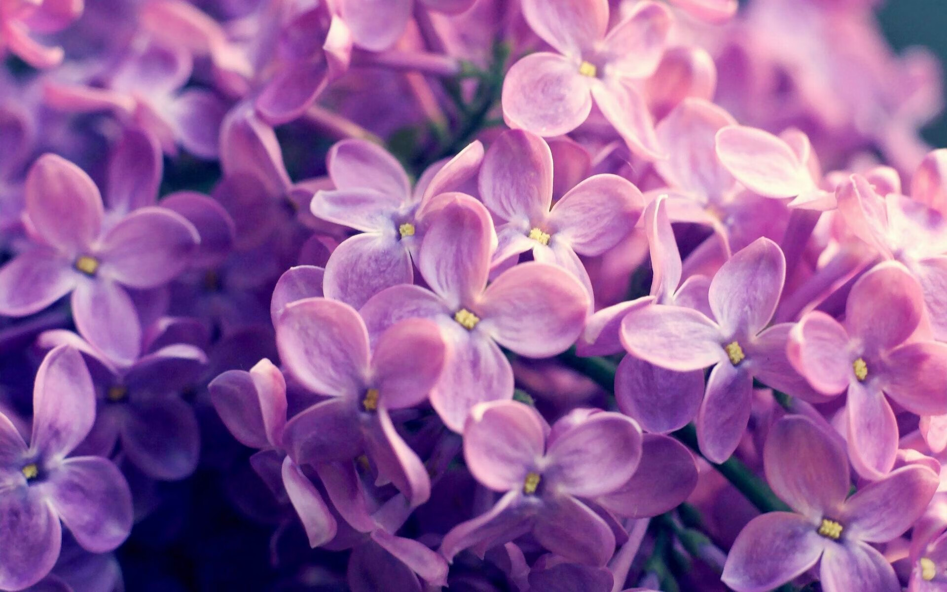 《行业合作模式创新:电竞与旅游、餐饮的跨界融合》,电竞合作案例