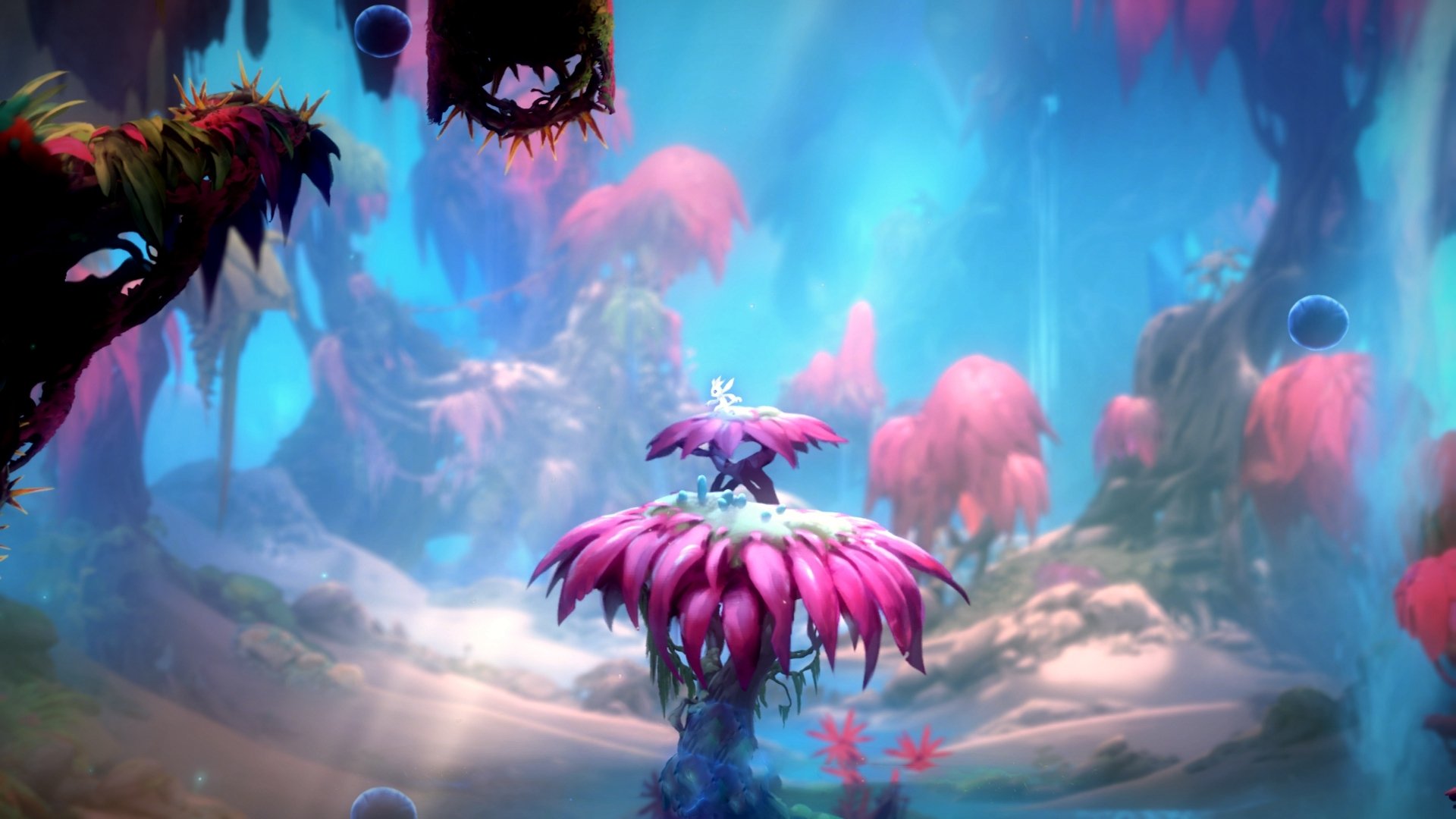 九游官网pc-【运动员成长】从青训营走向世界冠军的蜕变，青训选手有工资吗