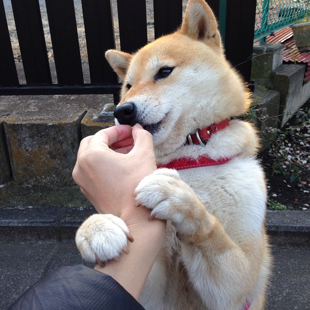 德甲精彩瞬间不断,战术变化带来无限可能,德甲德甲