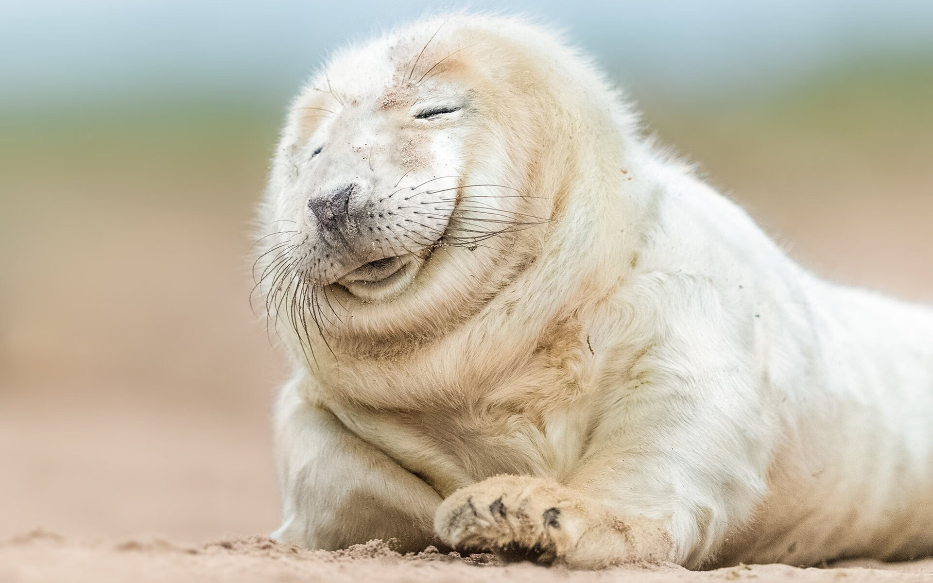 德甲:多特在最后10秒绝杀,追赶拜仁压力陡增,多特德甲冠军阵容