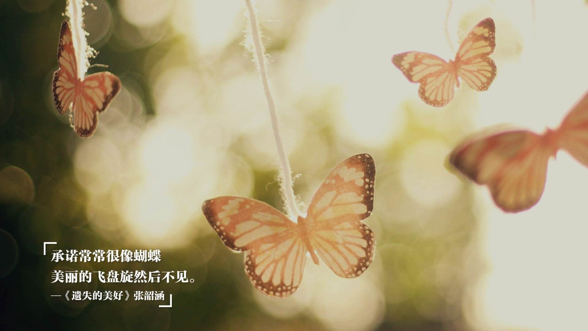 英超经典战役,精彩进球和关键扑救让现场沸腾,英超精华集锦