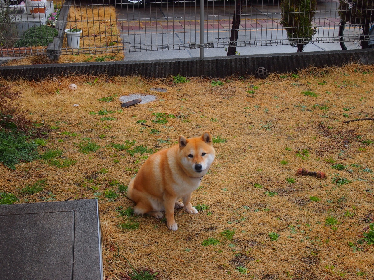 赛事揭秘:幕后策划的故事与难题,幕后策划者英文