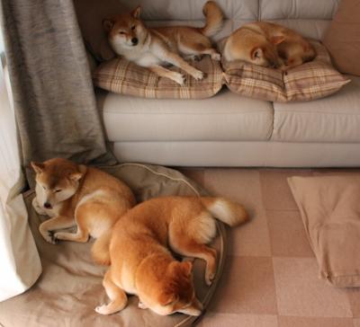 九游app官网下载-主场之战精彩激烈，比赛热度高涨令人期待，主场迎战