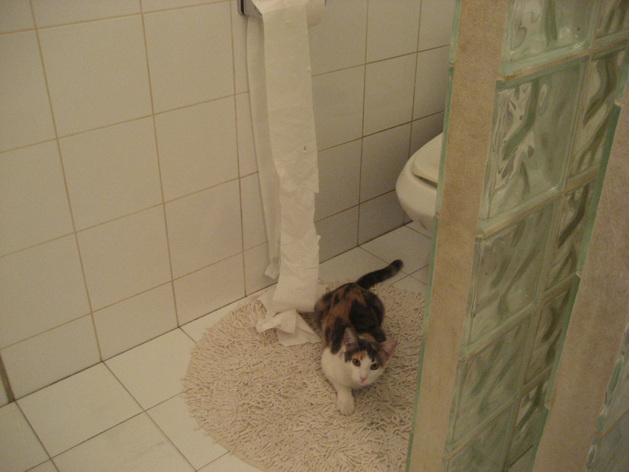 九游娱乐官网 (JIUYOU)-瑞士主帅评为“冬奥最佳战术指挥”