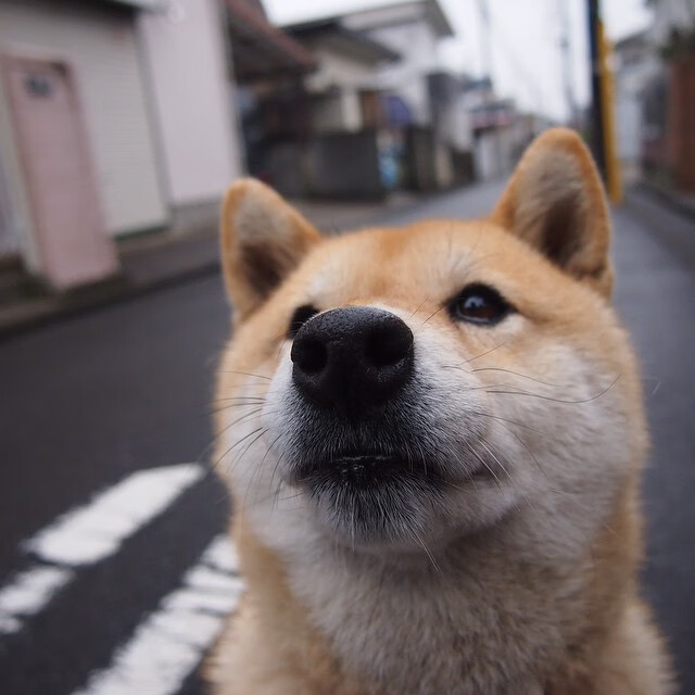 九游网-瑞士女足实力强劲，小组第一晋级，瑞士女足23