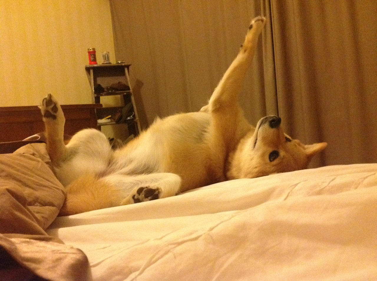 中国青少年篮球运动员身体素质发展规律,篮球运动员身体素质标准