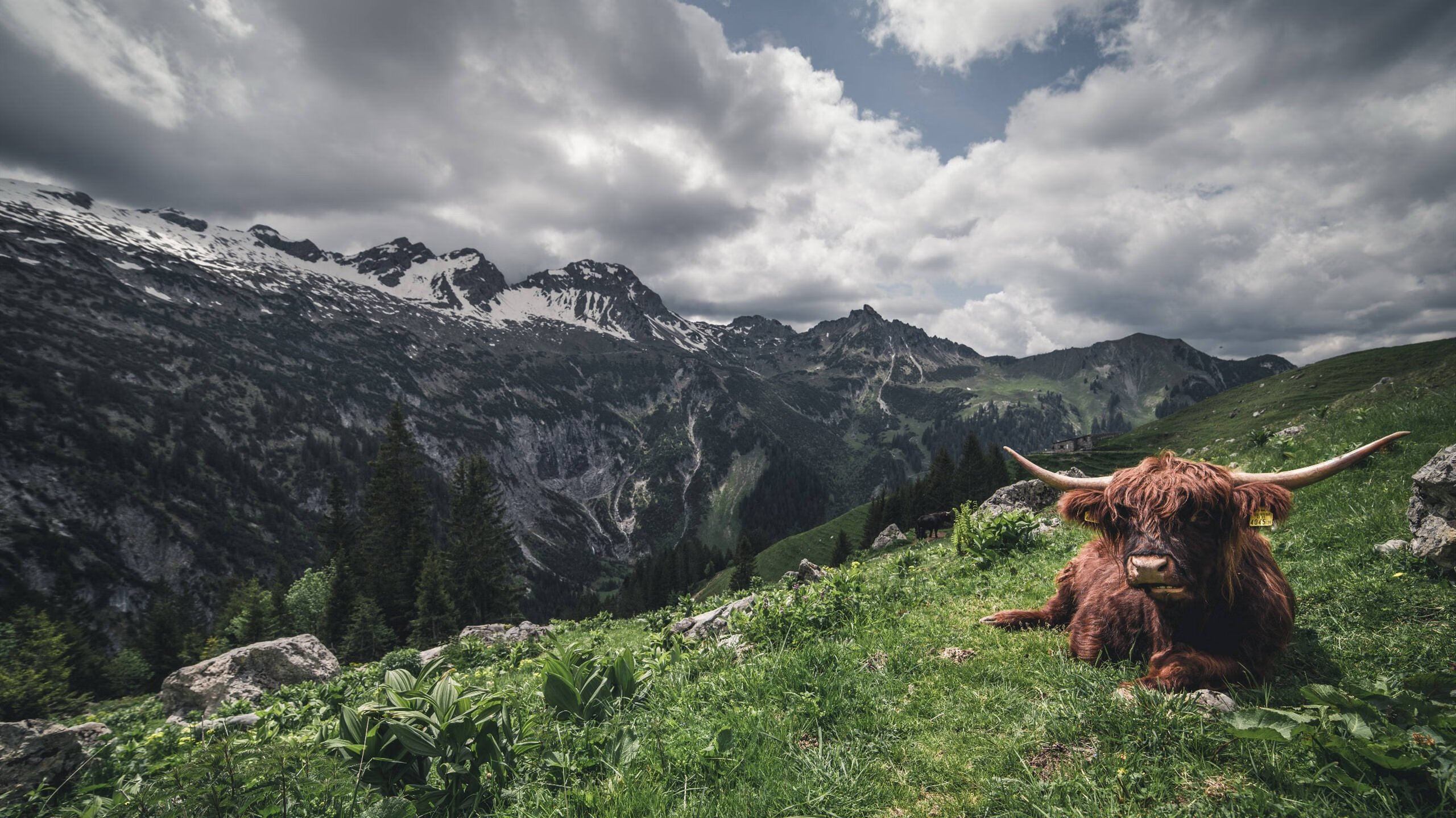 全国青少年攀岩赛在贵州开赛,年轻军团展风采,2021年全国青少年攀岩锦标赛