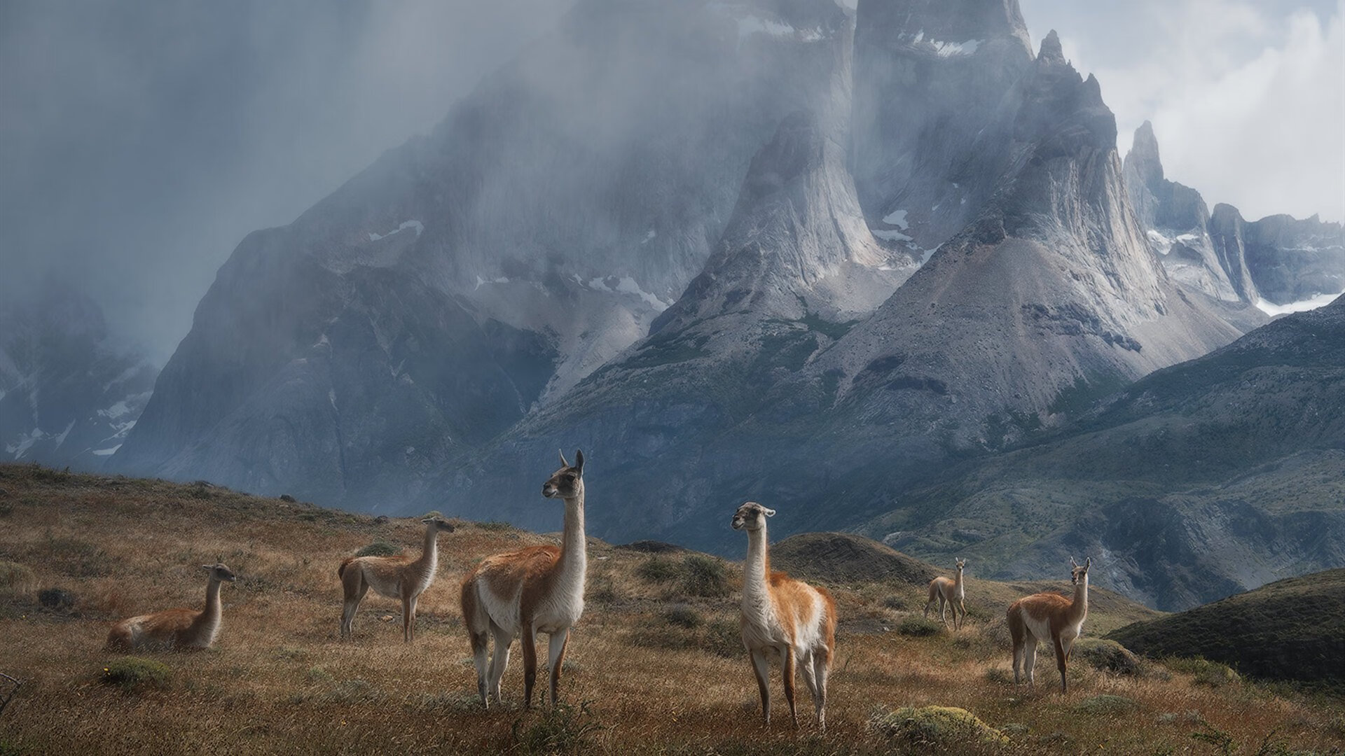 体育新闻中心建设体育音视频版权交易平台，体育新闻网站哪个最好