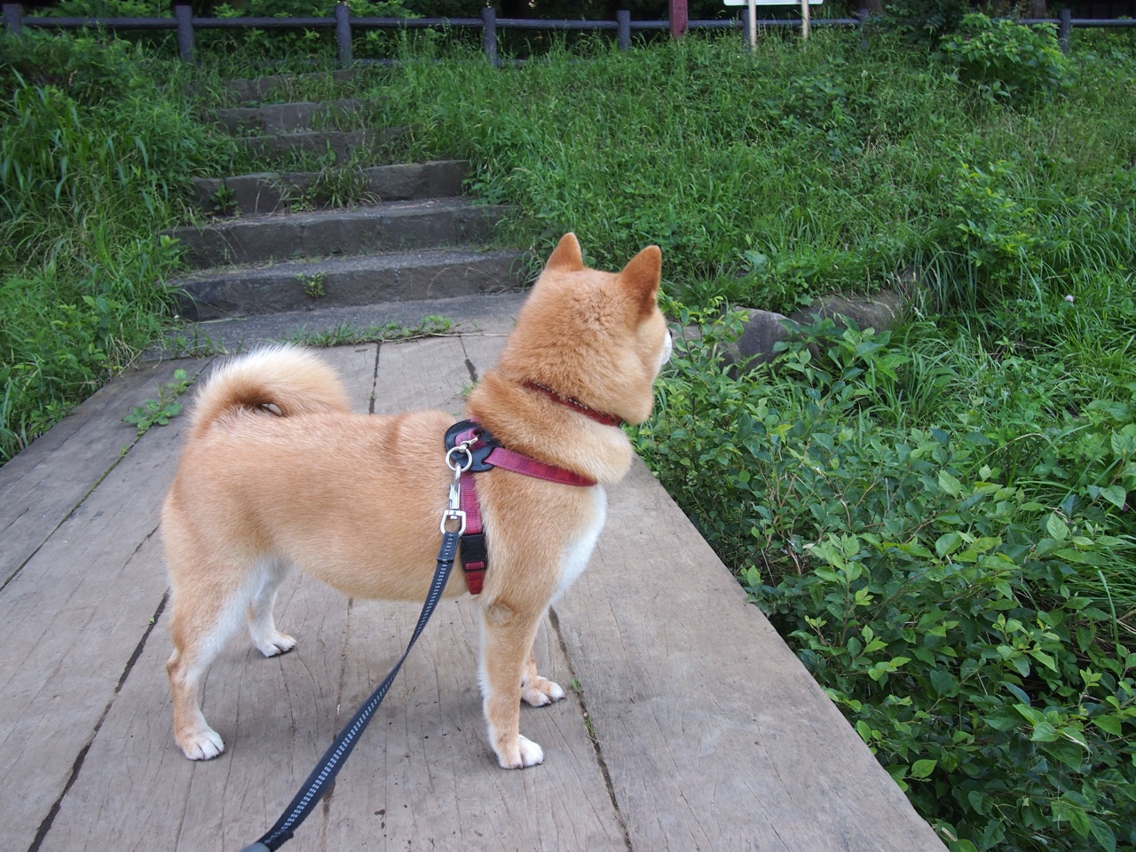 九游APP官网-关键转身动作数据背后的技术要点，转身动作包括