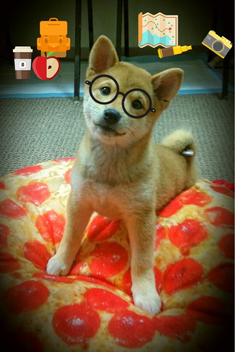 皇马利用速度差打出致命反击，皇马打的是什么阵型