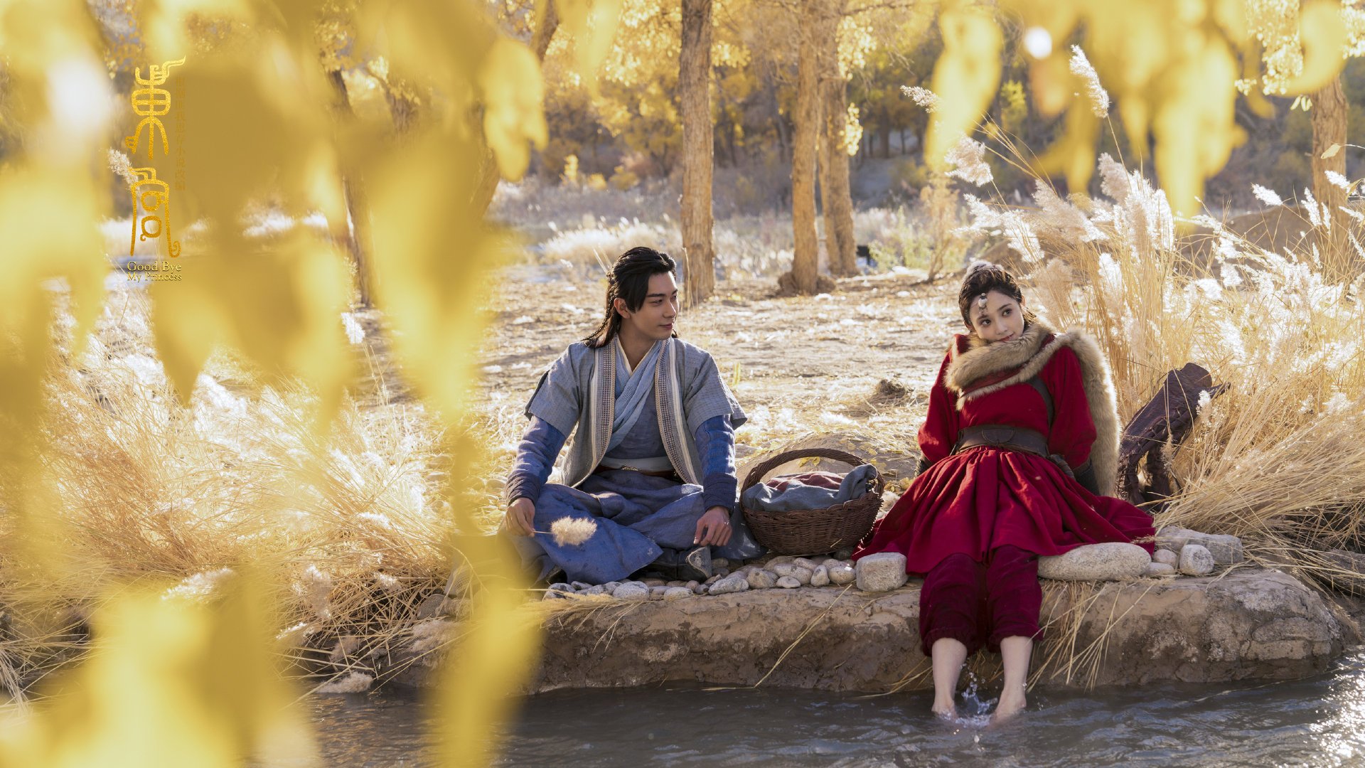 希腊女篮在欧洲锦标赛中再夺金牌，荣耀持续传承，希腊女子篮球比赛直播