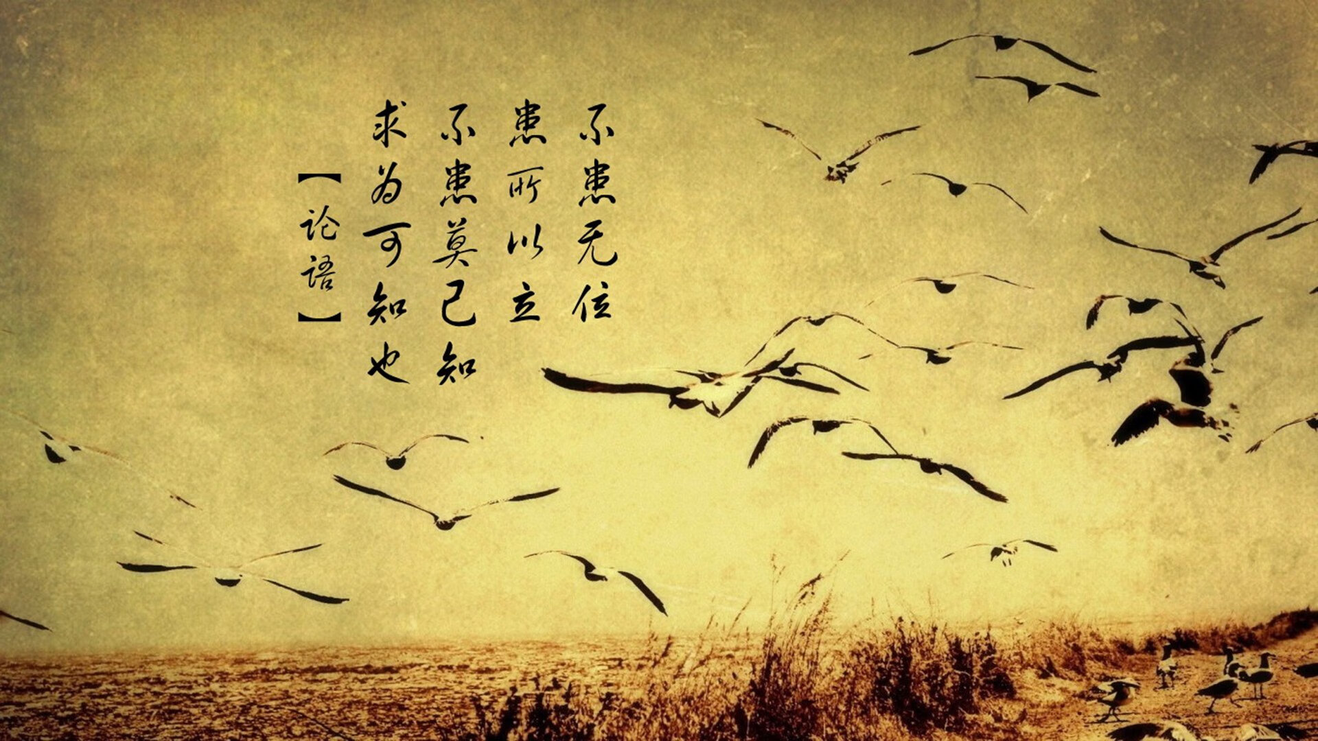 九游网页版入口-欧洲杯大戏：战术与技艺的完美结合，欧洲杯战术机位