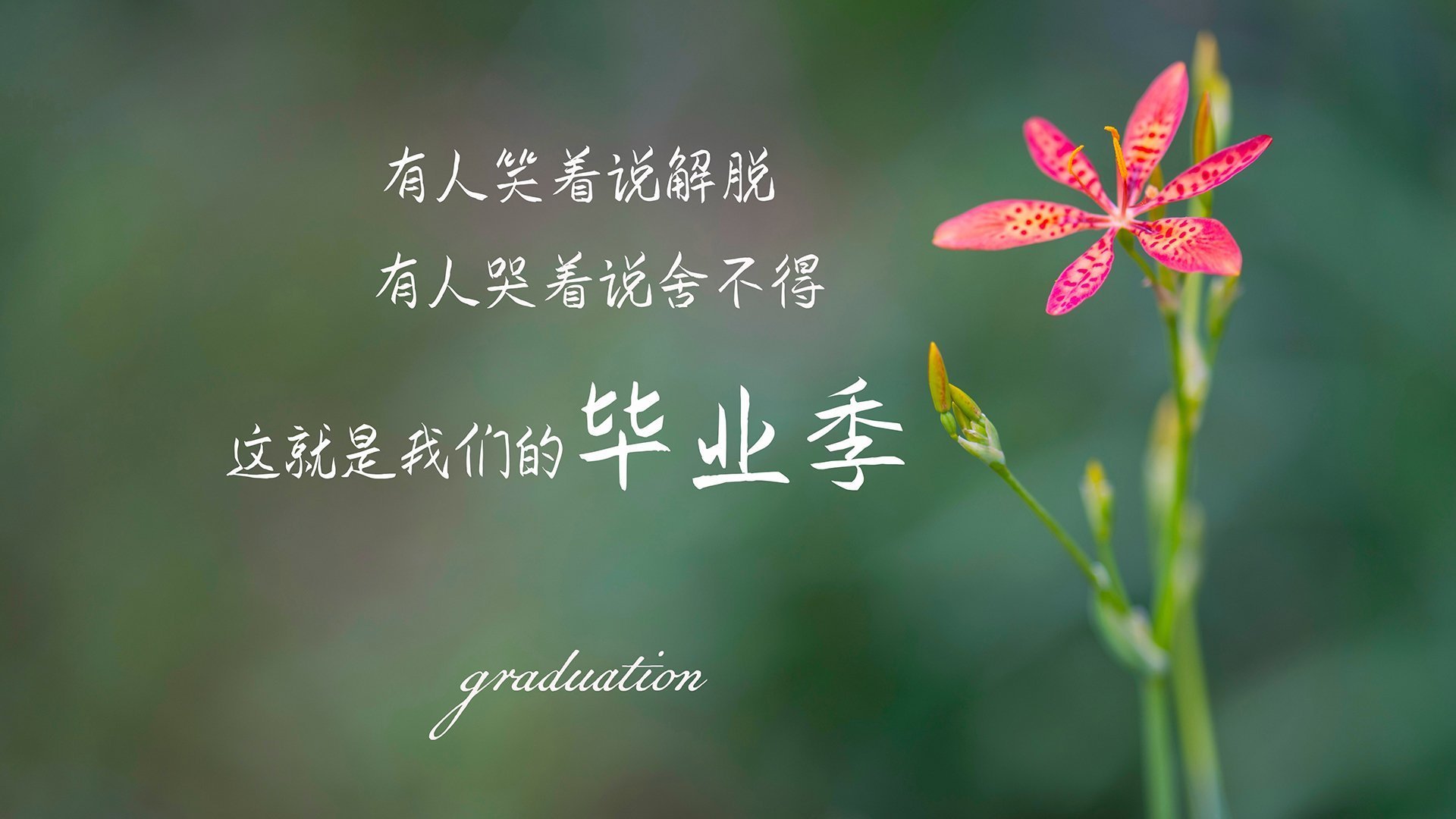 九游app下载中心-水球防守端希腊表现顽强